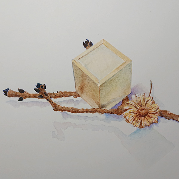 Still life with box