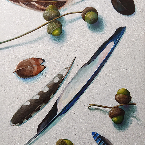 Feathers and acorns