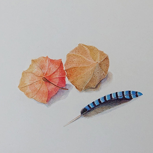 Lanterns and feather